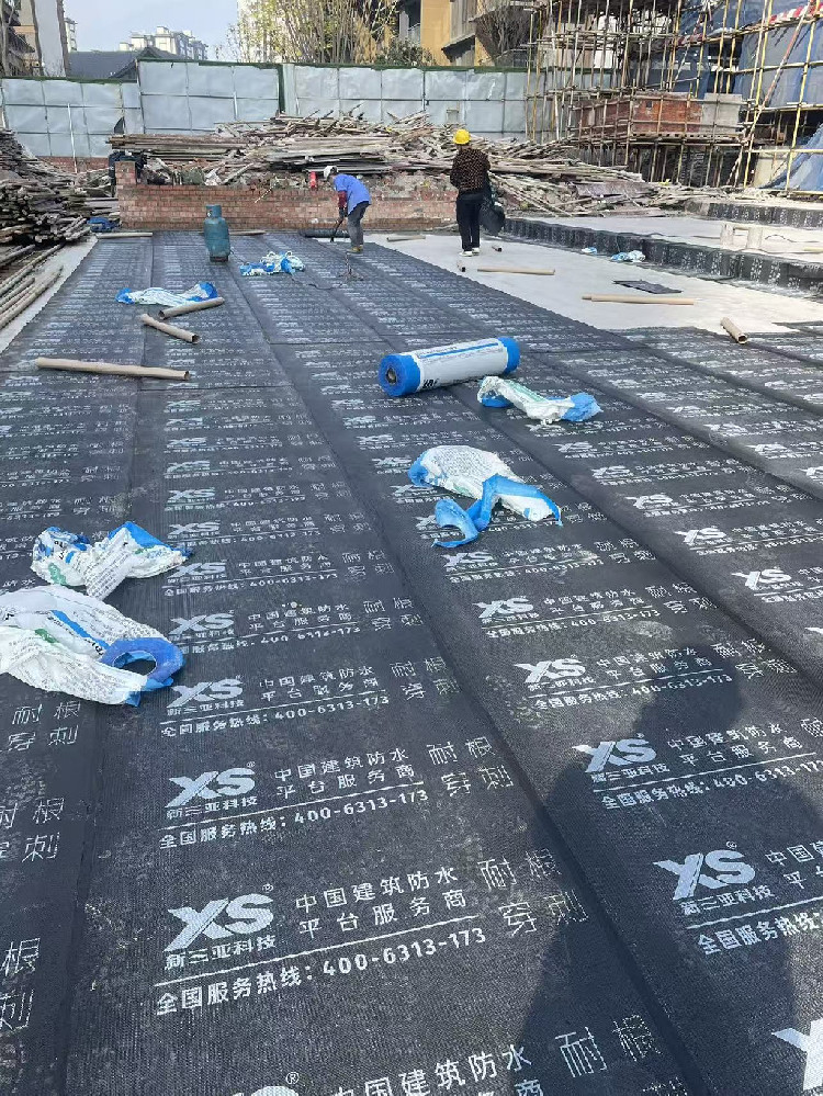 Suining Jinxiu Chaoming (Phase II)